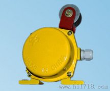 LLJ-B料流檢測器，料流開關(guān)，220V防爆型