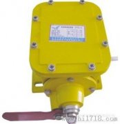 防爆型撕裂開(kāi)關(guān) DBX-100，撕裂保護(hù)裝置工程案例