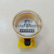 廠家批發(fā)打滑欠速開關(guān)YHDH-Z欠速檢測裝置 廠家批發(fā)打滑欠速開關(guān)YHDH-Z欠速檢測裝置
