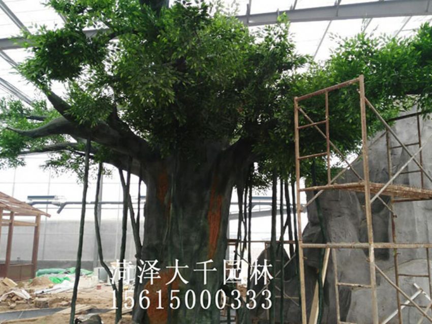 點擊查看詳細信息<br>標題：假樹 閱讀次數(shù)：1452