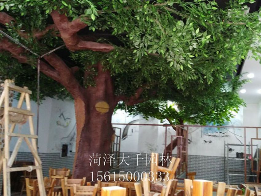 點擊查看詳細信息<br>標題：假樹 閱讀次數(shù)：1505