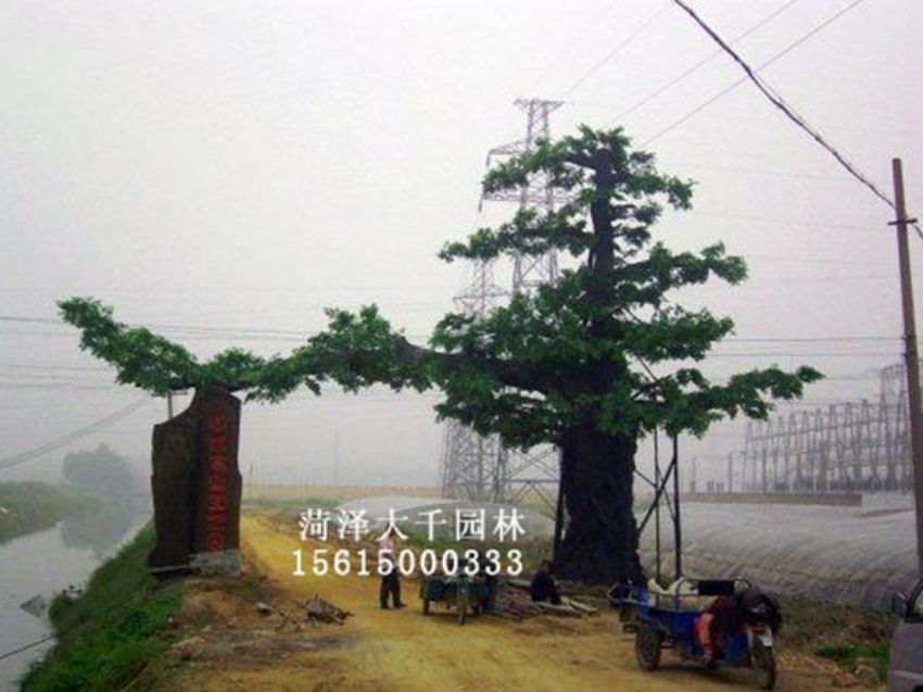 點(diǎn)擊查看詳細(xì)信息<br>標(biāo)題：假樹 閱讀次數(shù)：1361