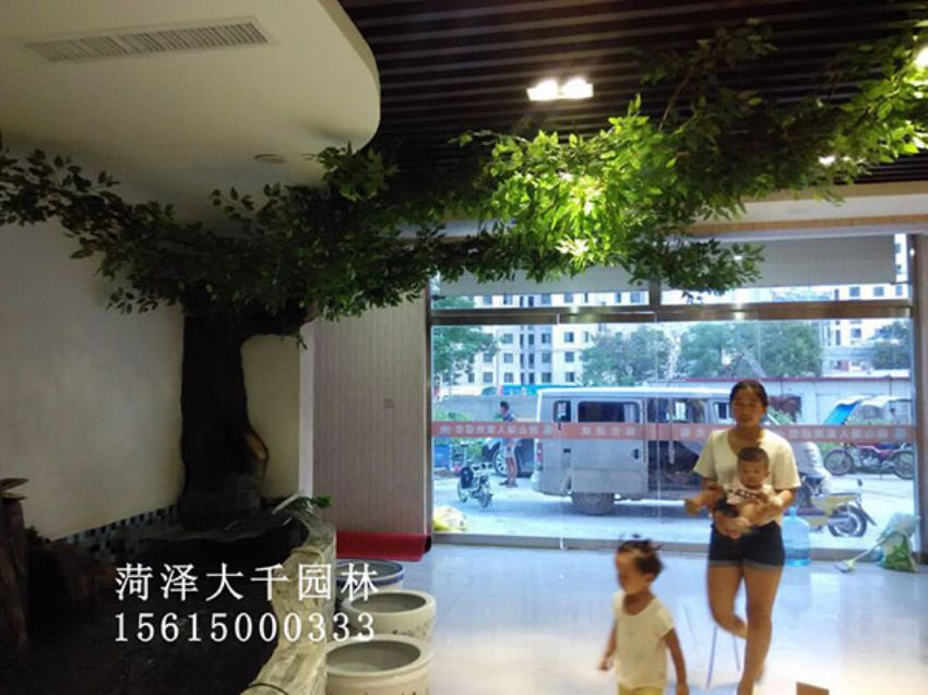 點(diǎn)擊查看詳細(xì)信息<br>標(biāo)題：假樹 閱讀次數(shù)：1408