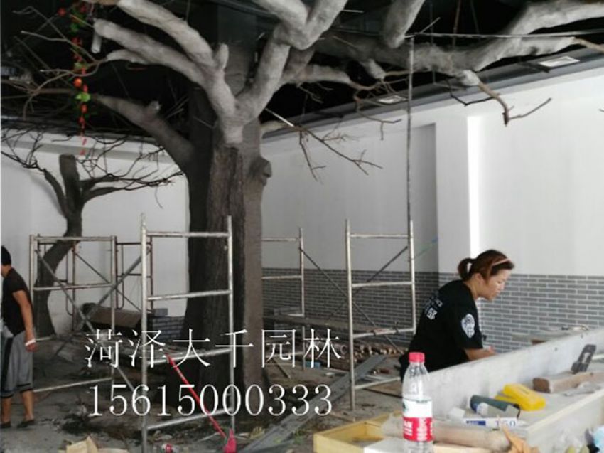 點(diǎn)擊查看詳細(xì)信息<br>標(biāo)題：假樹 閱讀次數(shù)：1383