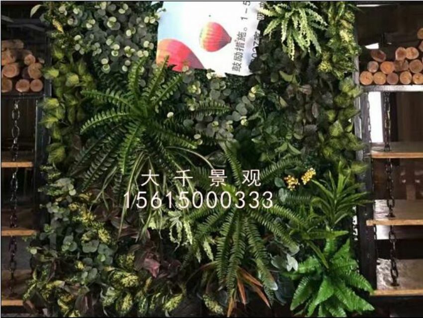 點(diǎn)擊查看詳細(xì)信息<br>標(biāo)題：綠植墻 閱讀次數(shù)：1412