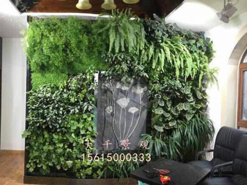 點(diǎn)擊查看詳細(xì)信息<br>標(biāo)題：綠植墻 閱讀次數(shù)：1764