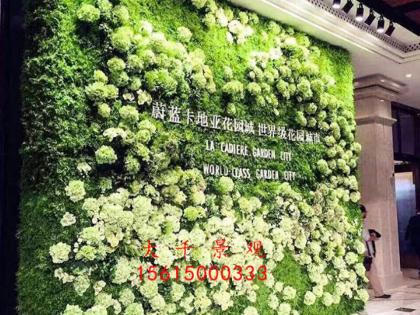 點(diǎn)擊查看詳細(xì)信息<br>標(biāo)題：綠植墻 閱讀次數(shù)：2077